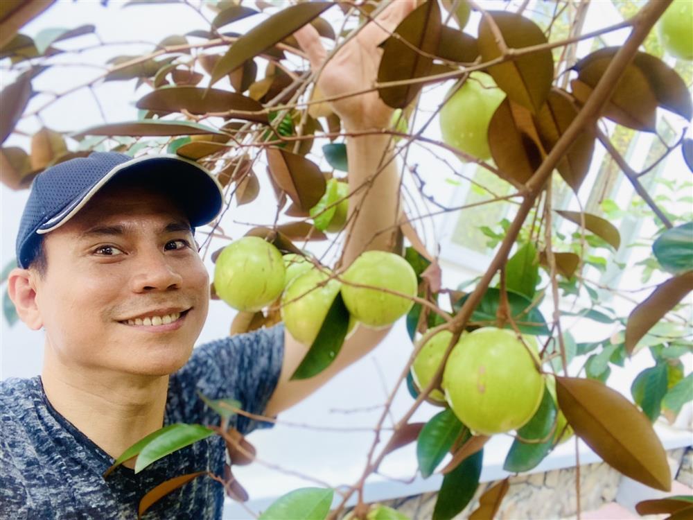 Nam thần màn ảnh Trí Quang: Tuổi thơ cơ cực, hôn nhân đổ vỡ, cuộc sống U50 kín tiếng trong nhà vườn 800m2, vui thú điền viên-8