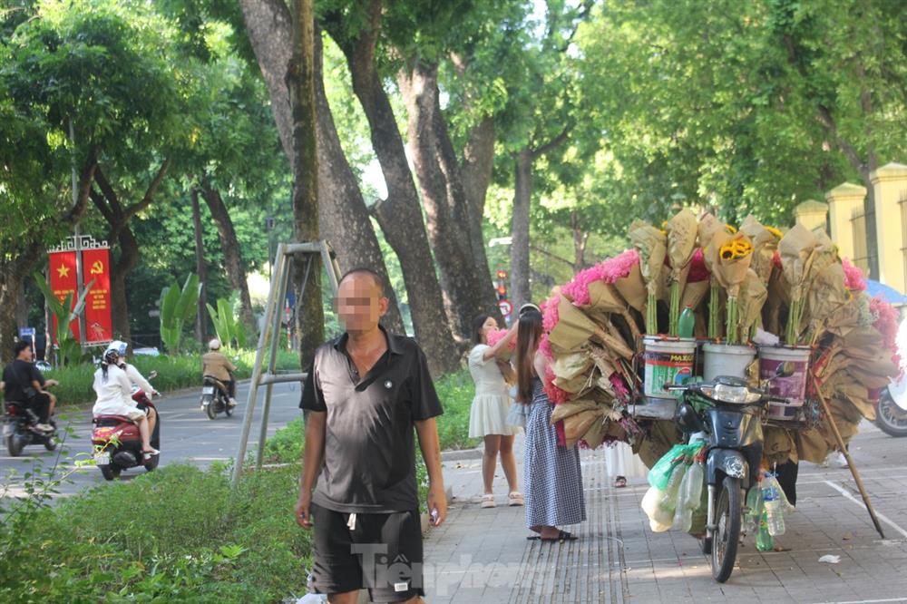 Nhếch nhác con đường đẹp nhất Hà Nội nhiều nàng thơ đổ xô check-in-12