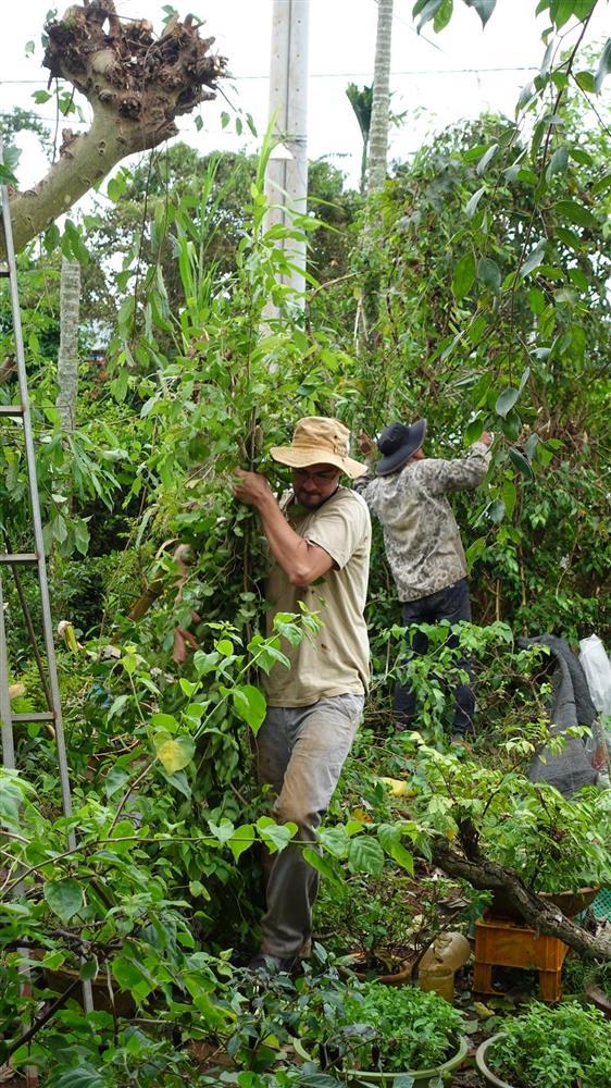 Gặp nhau đúng 2 lần, chàng trai Bỉ lấy vợ Việt, theo về Đắk Lắk làm rẫy-4