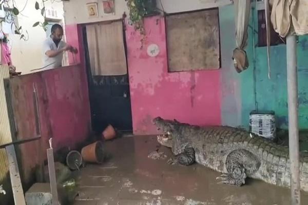 Sa Pa sạt lở vì mưa lũ, nhiều khách sạn, nhà hàng miễn phí chỗ ở, bữa ăn-5