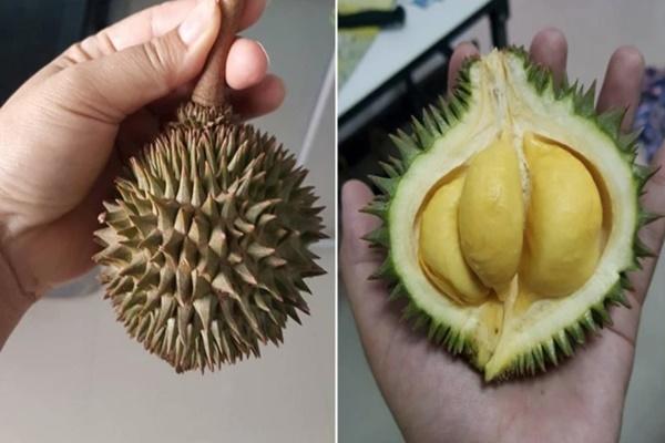 Mẹo biến sầu riêng sượng thành món ngon-3