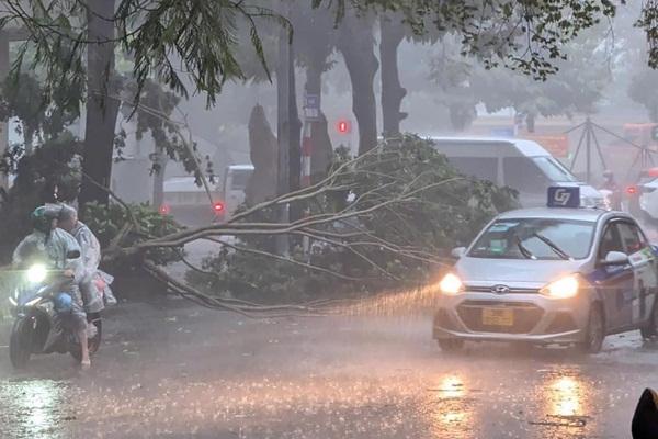 Bão số 3 Yagi vẫn giữ cường độ rất mạnh, áp sát bờ biển Quảng Ninh - Hải Phòng-2