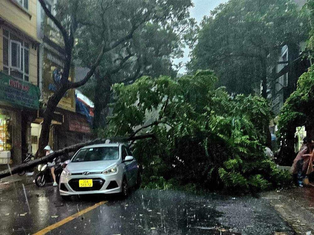 Nghiêm ngặt ở tại nhà, chờ bão số 3 Yagi đi qua