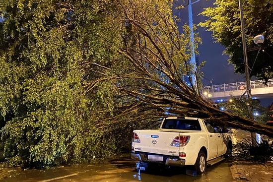Cây đổ la liệt, đường ngập sâu sau khi bão số 3 Yagi quét qua Hà Nội