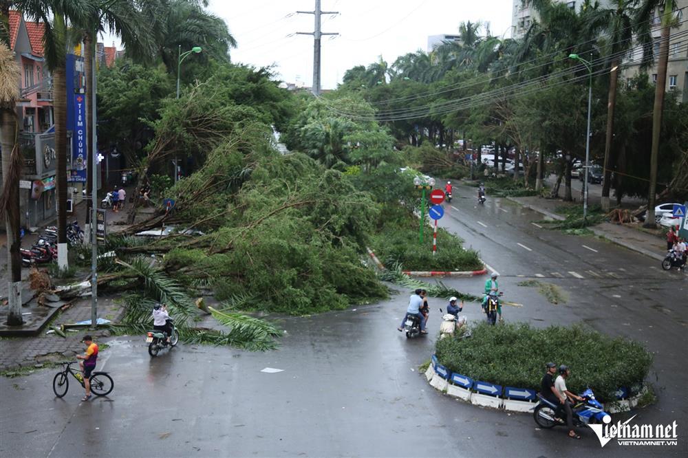 Năm nay 72 tuổi, ở Hà Nội tôi chưa trải qua cơn bão nào dữ dội đến thế-2