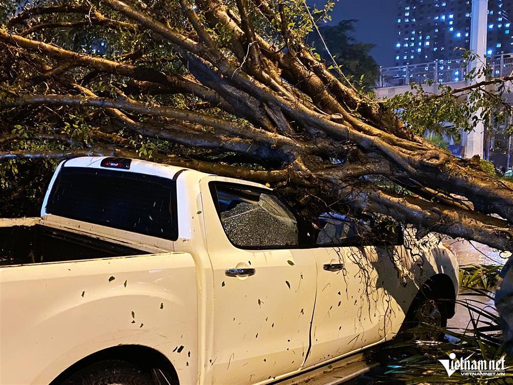 Năm nay 72 tuổi, ở Hà Nội tôi chưa trải qua cơn bão nào dữ dội đến thế-4