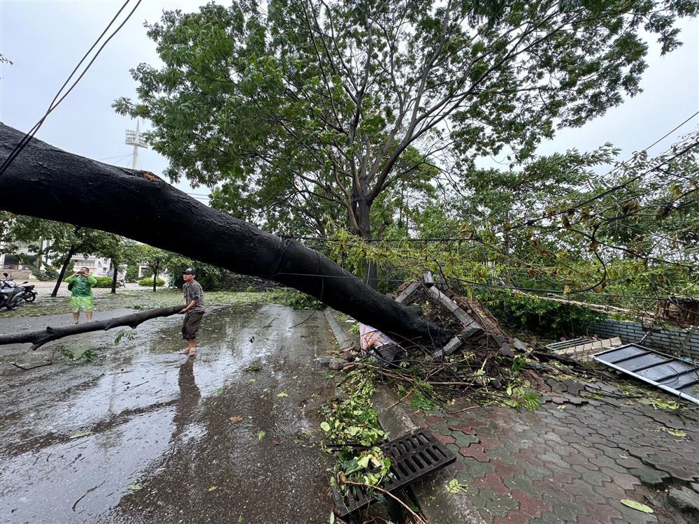 Sân Mỹ Đình bị bão Yagi càn quét, cây đổ la liệt, trận Việt Nam - Thái Lan có bị hủy không?-2