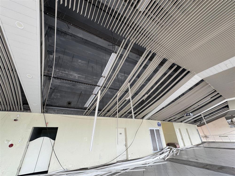 Sân Mỹ Đình bị bão Yagi càn quét, cây đổ la liệt, trận Việt Nam - Thái Lan có bị hủy không?-8