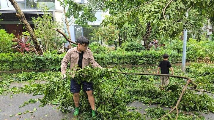 NSND Xuân Bắc cùng 2 con trai hỗ trợ dọn cây đổ trên phố sau bão Yagi-4