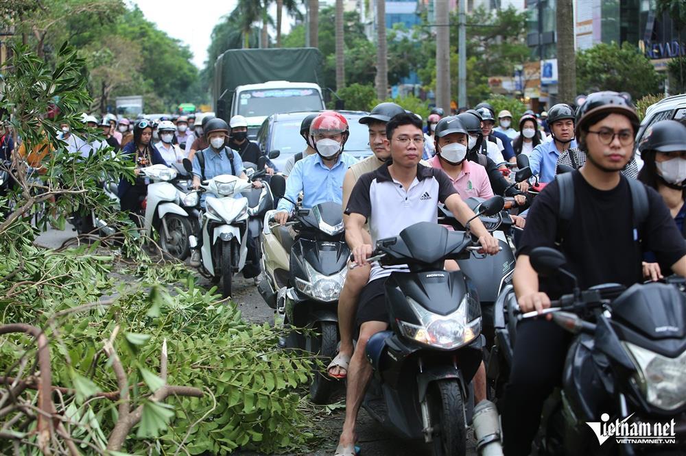 Nhiều tuyến phố ở Hà Nội còn cây xanh chắn ngang, đường ùn tắc