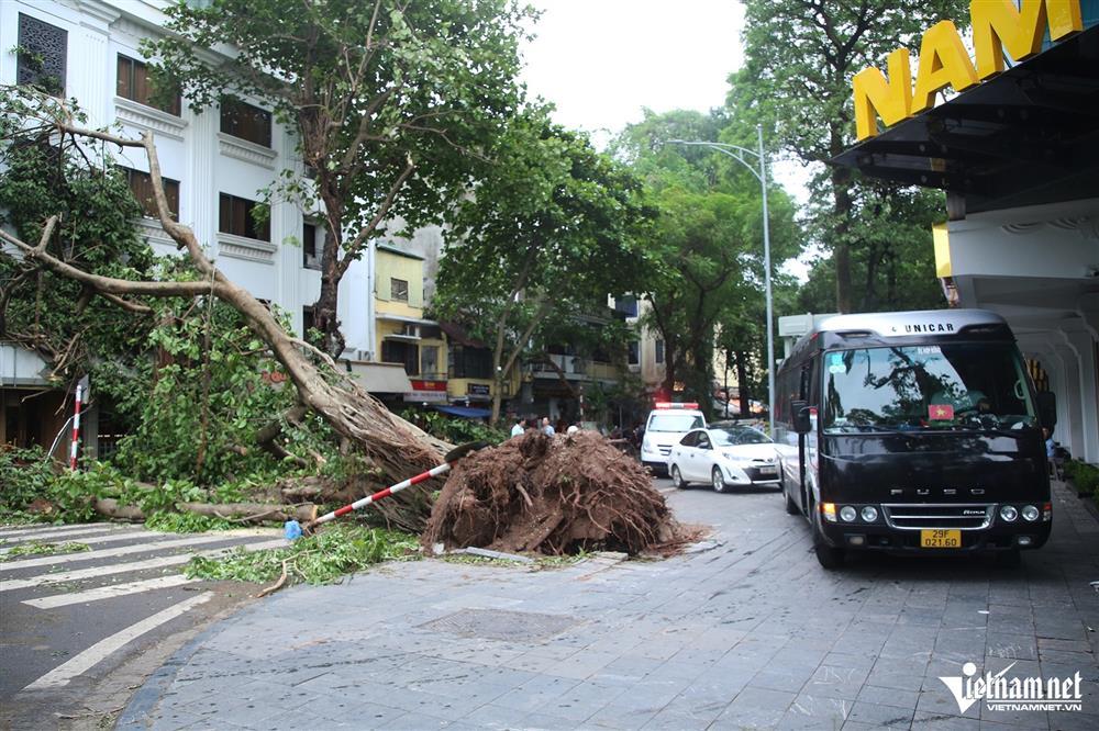 Nhiều tuyến phố ở Hà Nội còn cây xanh chắn ngang, đường ùn tắc