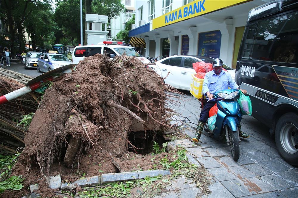Nhiều tuyến phố ở Hà Nội còn cây xanh chắn ngang, đường ùn tắc