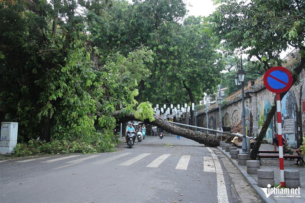Nhiều tuyến phố ở Hà Nội còn cây xanh chắn ngang, đường ùn tắc