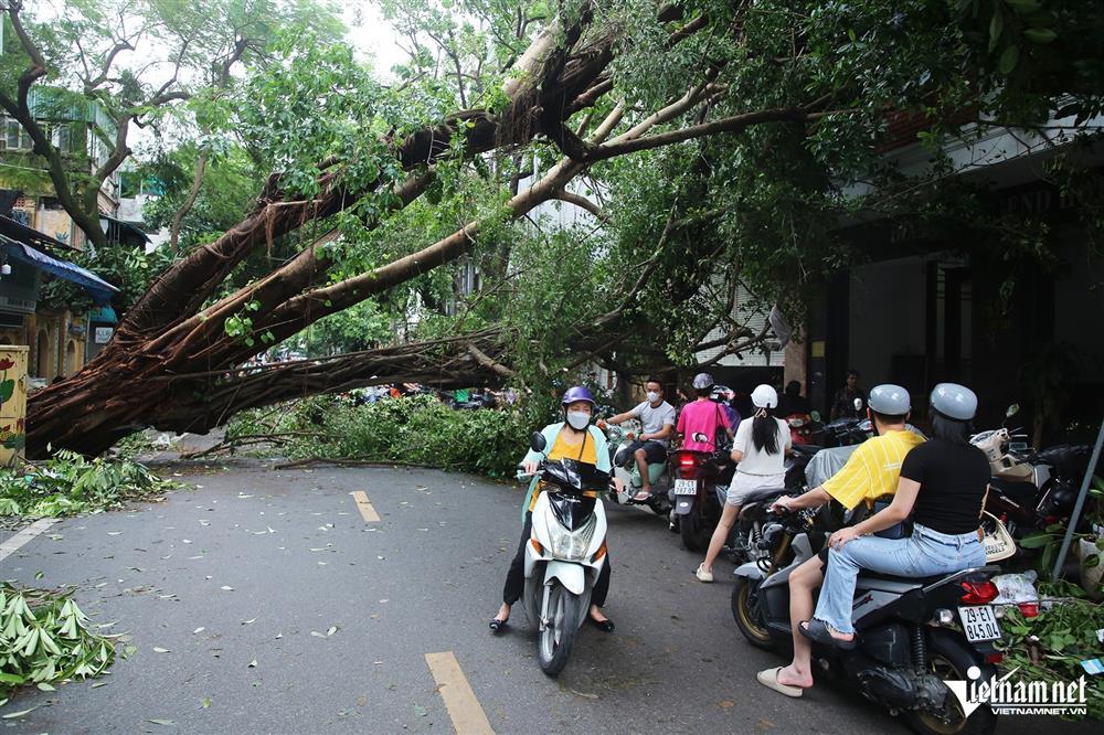 Nhiều tuyến phố ở Hà Nội còn cây xanh chắn ngang, đường ùn tắc