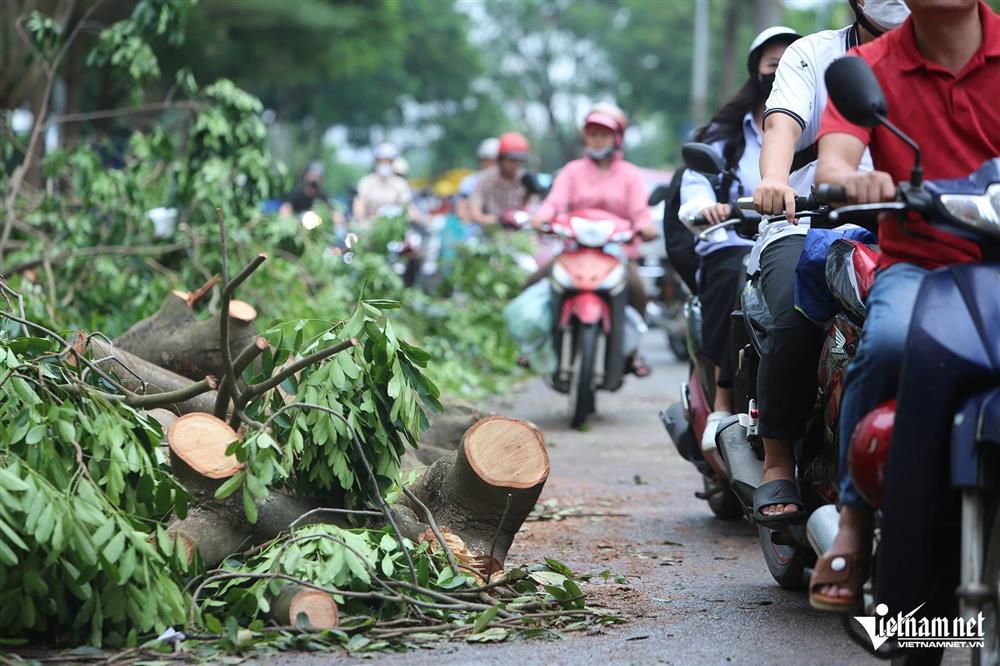Nhiều tuyến phố ở Hà Nội còn cây xanh chắn ngang, đường ùn tắc