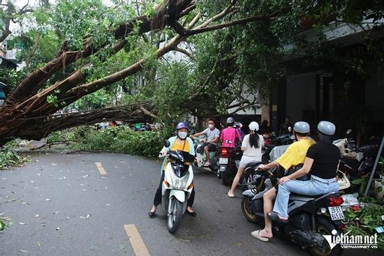 Nhiều tuyến phố ở Hà Nội còn cây xanh chắn ngang, đường ùn tắc