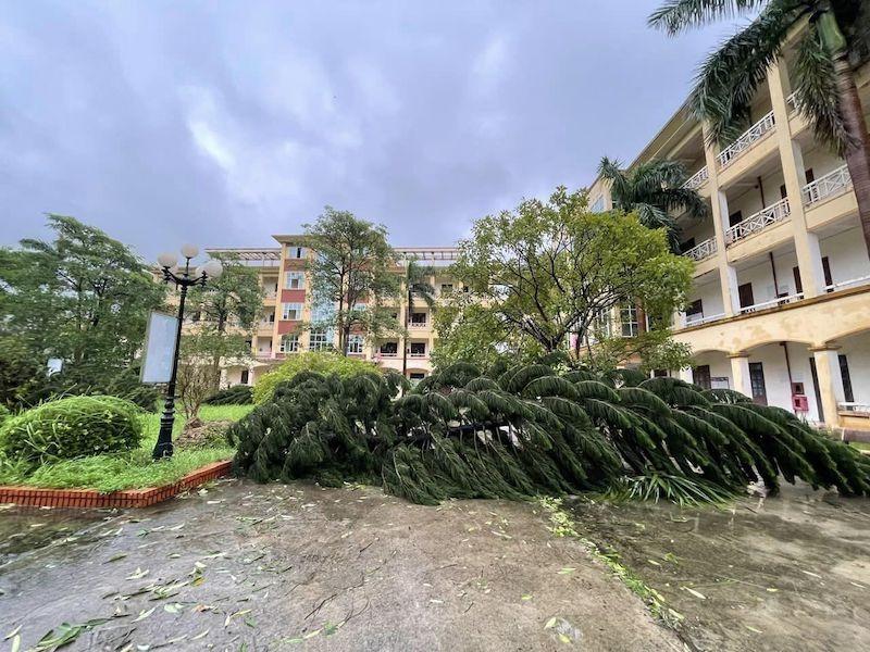 Hôm nay, học sinh 39 trường ở Hà Nội chưa thể đi học sau bão Yagi-1