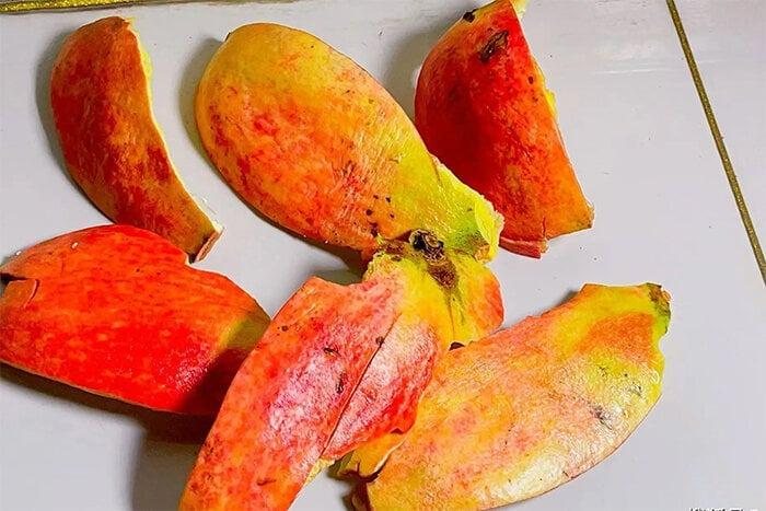 Ăn lựu đừng vội vứt vỏ, dùng nó bón cây, đuổi côn trùng rất tốt-1