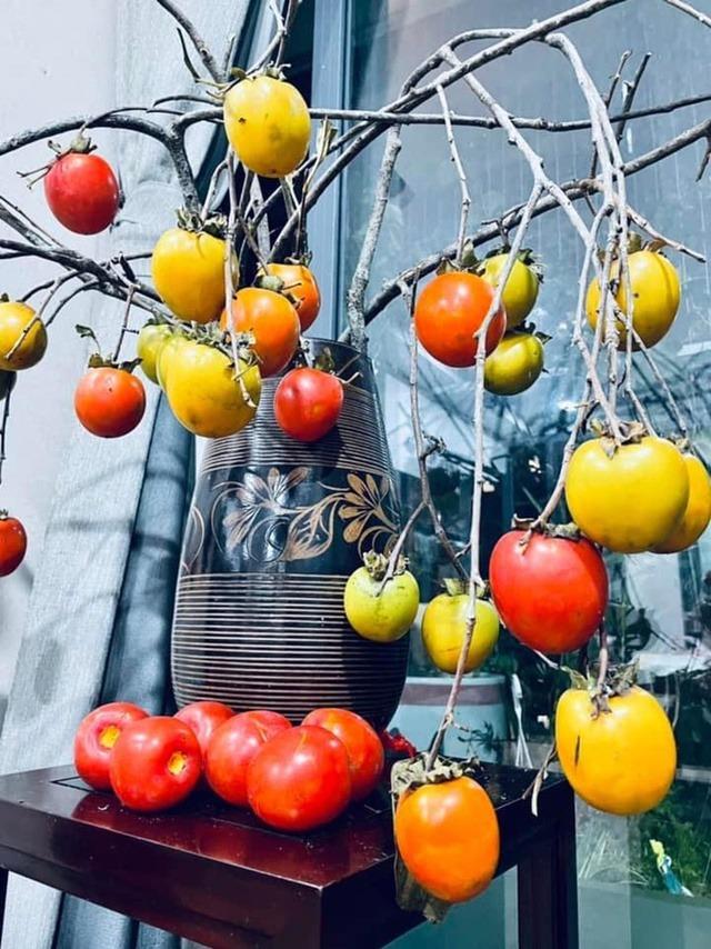 MC Diễm Quỳnh hiếm hoi khoe chồng U60, đang sống hạnh phúc trong căn nhà rực sắc hoa-11