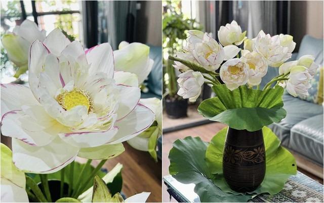 MC Diễm Quỳnh hiếm hoi khoe chồng U60, đang sống hạnh phúc trong căn nhà rực sắc hoa-5