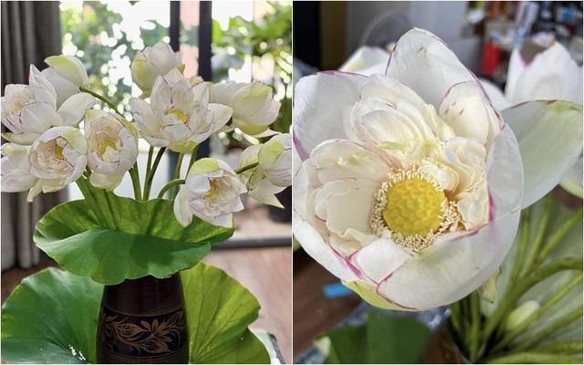 MC Diễm Quỳnh hiếm hoi khoe chồng U60, đang sống hạnh phúc trong căn nhà rực sắc hoa-6