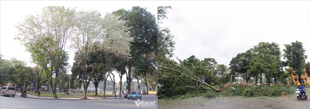 Du khách xót xa thấy cảnh ở nơi sống ảo nổi tiếng Hà thành-1