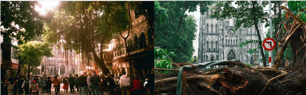 Du khách xót xa thấy cảnh ở nơi sống ảo nổi tiếng Hà thành-3