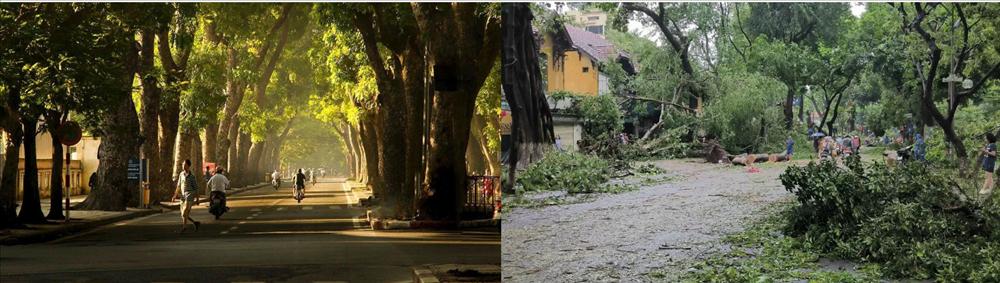 Du khách xót xa thấy cảnh ở nơi sống ảo nổi tiếng Hà thành-6