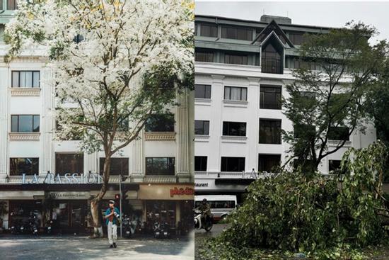 Du khách xót xa thấy cảnh ở nơi 'sống ảo' nổi tiếng Hà thành