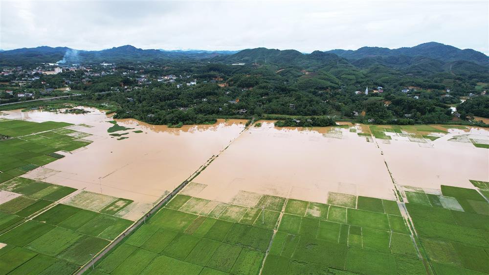 4.000 ngôi nhà ở Phú Thọ bị ngập, người dân thốt lên lũ chưa từng thấy-6