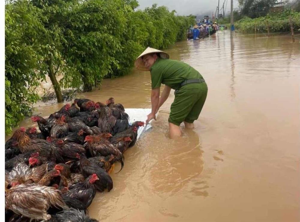 Nước sông trên báo động 3, Hải Dương căng mình hộ đê