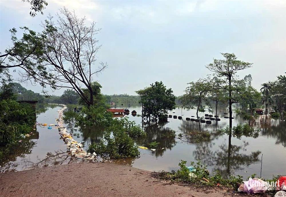 Bác tin vỡ đê ở Đông Anh-1