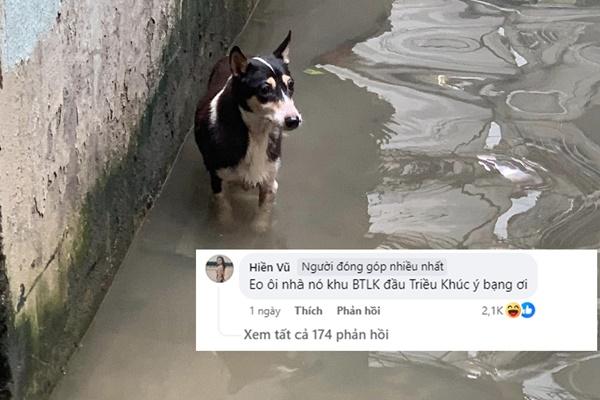 Người nước ngoài tất bật cứu trợ vùng lũ: Quá xúc động về tình người ở Việt Nam-12