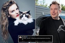 Tỷ phú Elon Musk mỉa mai Taylor Swift