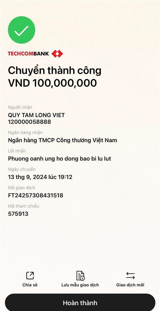 Phương Oanh và Mạnh Trường âm thầm chuyển khoản, Kiều Anh 2 lần đến vùng lũ-3