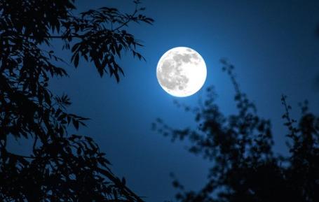 Nhà giàu xưa mang nước phơi dưới trăng rằm, việc làm này có ý nghĩa gì?-1