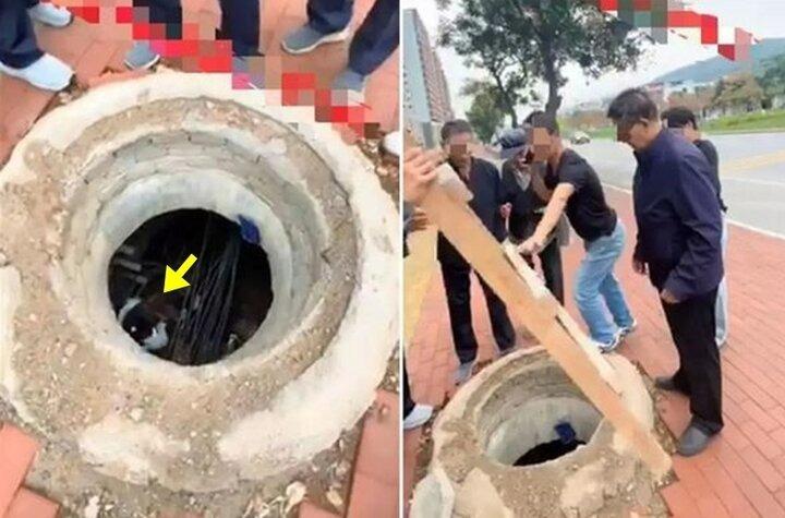 Con gái rơi xuống giếng, bố nhất định chụp ảnh rồi mới cho cứu hộ-1