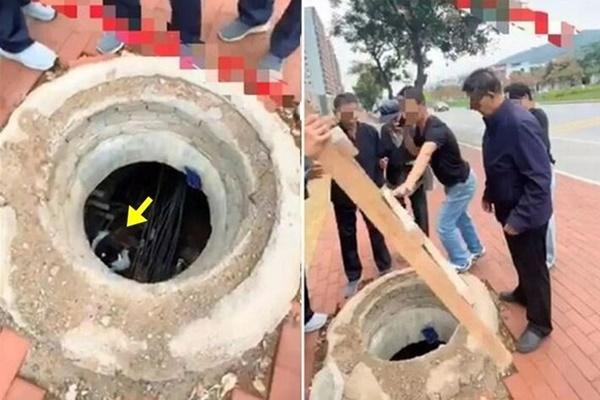 Trào lưu ‘chụp ảnh Hàn Quốc’ photobooth hot trở lại sau 20 năm-1