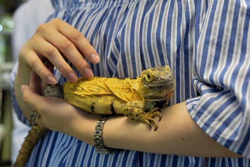 Phát hiện vô số thứ kỳ lạ bị bỏ lại trong phòng khách sạn-2