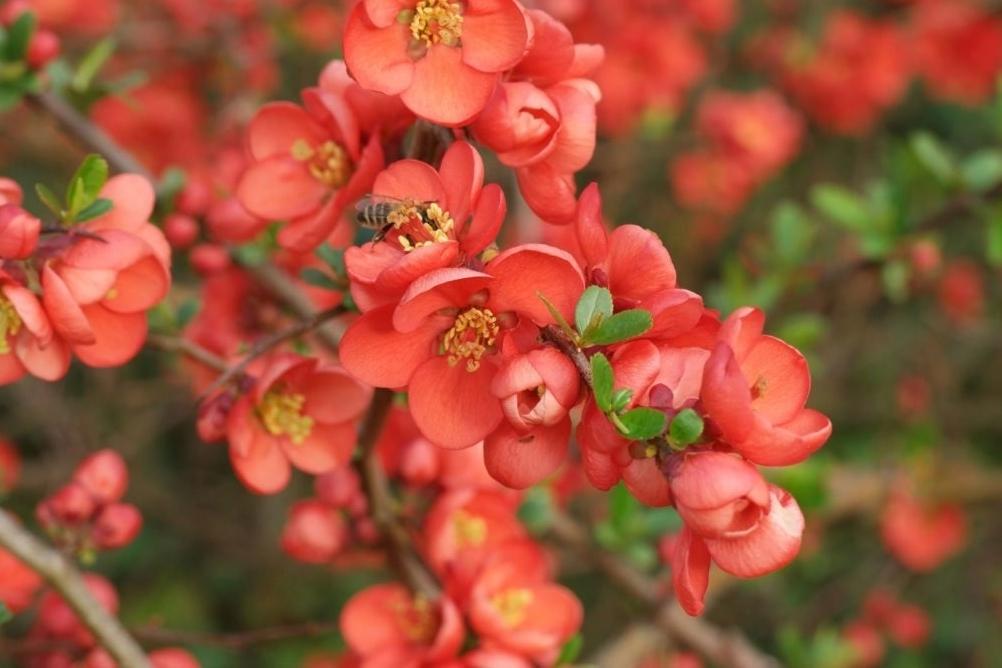 Tử vi 12 con giáp ngày 20/9/2024: Thìn có một ngày nhẹ nhàng, Ngọ một ngày thuận lợi-2