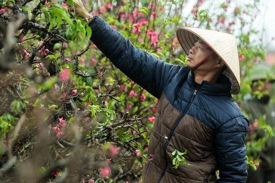 Bộ Nội vụ đồng ý đề xuất nghỉ 9 ngày Tết Nguyên đán 2025