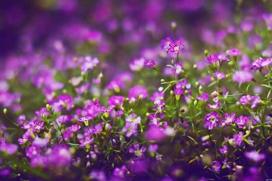 3 con giáp chuyển vận giàu sang vào đúng 3 ngày liên tiếp tới (23, 24 và 25/9)