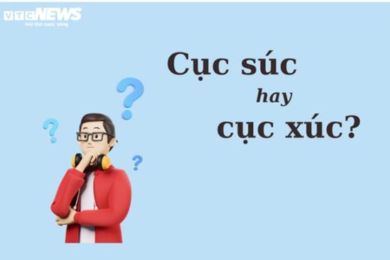 90% người dùng sai chính tả: 'Cục súc' hay 'cục xúc'?