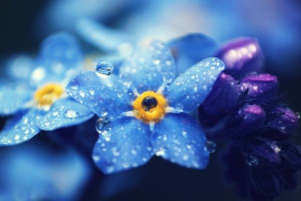 3 con giáp trúng số độc đắc đúng 300 tỷ vào ngày 26/9/2024, gặt hái nhiều niềm vui tài lộc-2