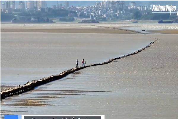 Sóng đột nhiên dâng trào, du khách bỏ chạy tán loạn-1