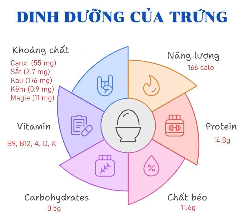 Tiến sĩ trẻ ăn 24 quả trứng mỗi ngày để chứng minh một điều-2