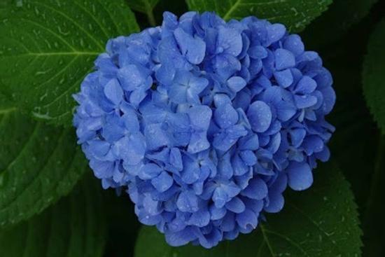 Đúng 18h hôm nay, ngày 29/9/2024, 3 con giáp vận trình thịnh vượng, sở hữu tài sản khủng cùng túi tiền to