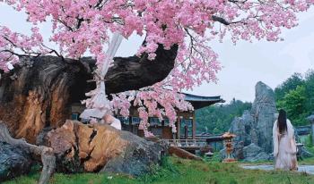 Cảnh hôn vô lý-1