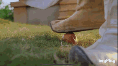 Cảnh hôn vô lý-2