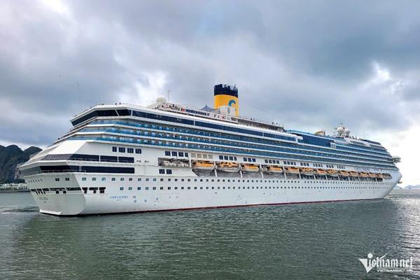 Hơn 200 tỷ phú châu Âu sẽ đến Hạ Long bằng du thuyền-2